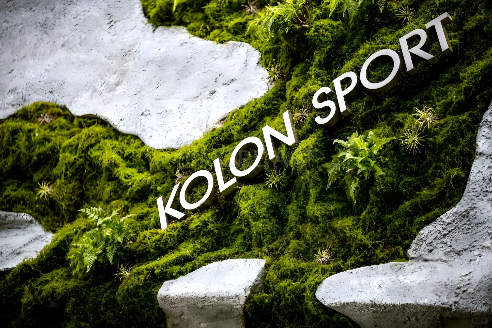 Full view of KOLON Natural Momentum limited-time pop-up, one-stop custom event fabrication service by art factory, finished immersive marketing installation with professional event prop fabrication(7)